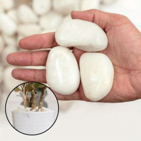 38 lbs White River Rocks, 2-3 inch Polished Pebbles - Versatile for indoor/outdoor use. Ideal for plant decor, vases, aquariums